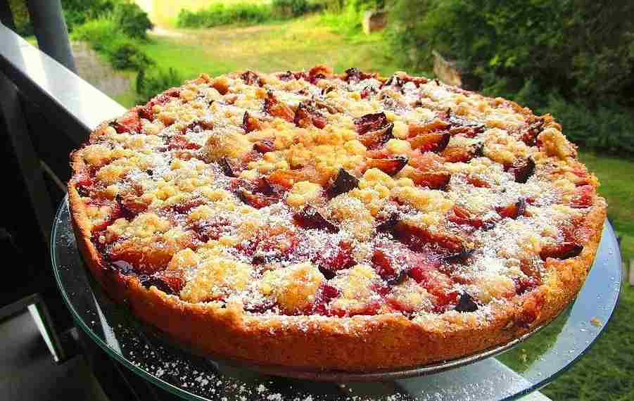 pflaumenkuchen mit streusel ,bester pflaumenkuchen ,pflaumenkuchen rezept einfach und schnell ,pflaumenkuchen mit pudding ,zwetschgenkuchen rührteig ,pflaumenkuchen mit streuseln mürbeteig ,pflaumenkuchen hefeteig mit trockenhefe springform ,pflaumenkuchen ohne hefe