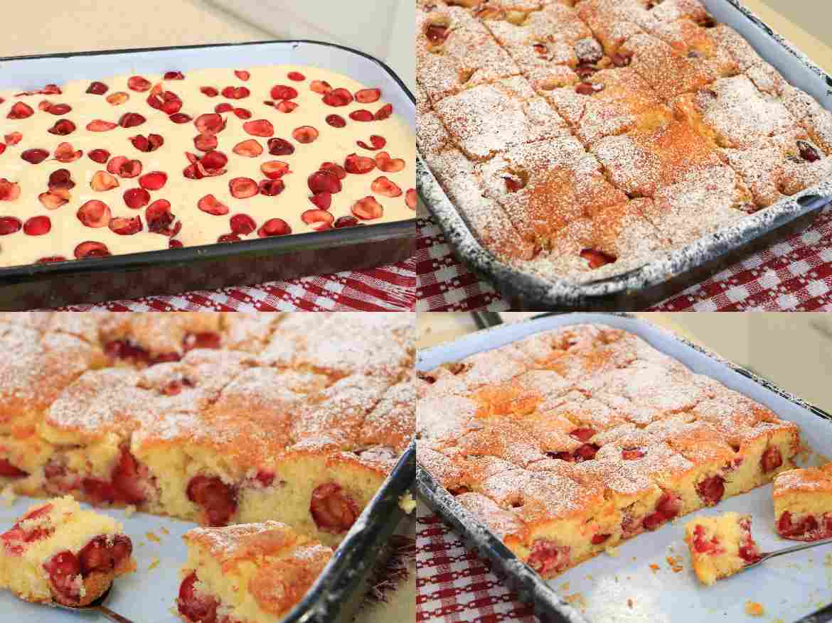 kirschkuchen rezept ,kirschkuchen mit frischen kirschen ,kirschkuchen sehr fein ,ungarischer kirschkuchen ,rezept versunkener kirschkuchen mit frischen kirschen ,omas kirschkuchen mit pudding ,kirsch hefe streuselkuchen